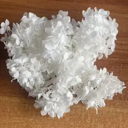 20g/3~4CM Flower Petals,Decorative Preserved Flowers Dried Natural Wood Hydrangea Flower Head,Eternal Big-Leaf Hydrangeas Petal
