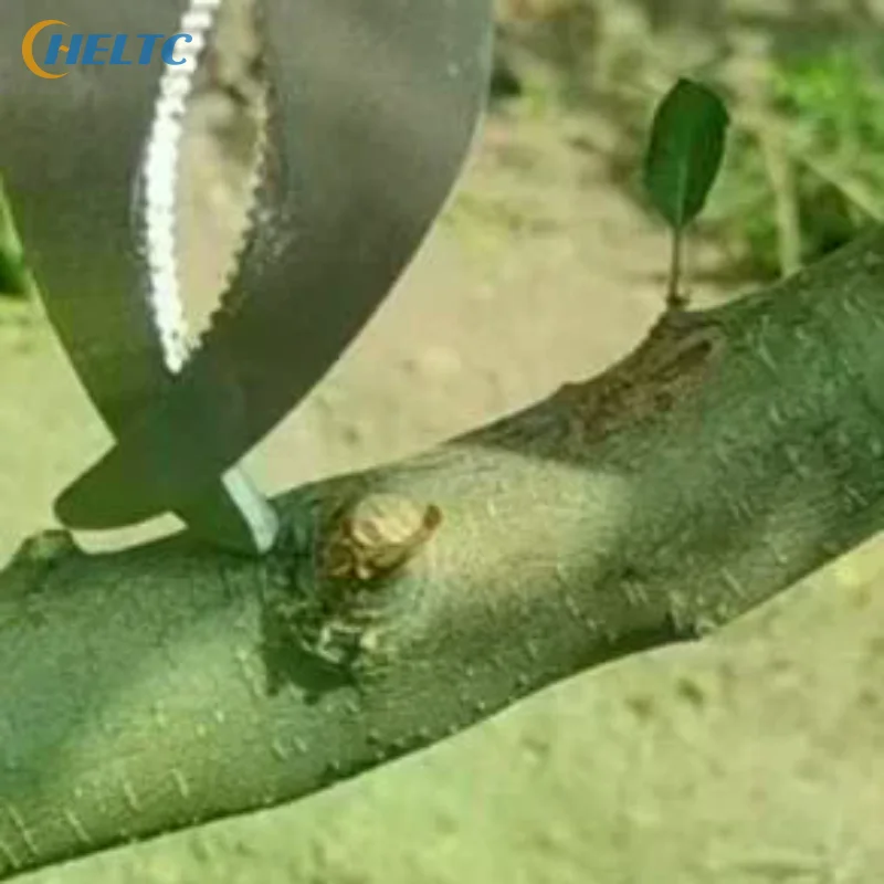 Sharp Garden Tree Ring Barking Knife 1Pcs Durable Peeling Cutter for Orchard Grafting Branch Pruning Use
