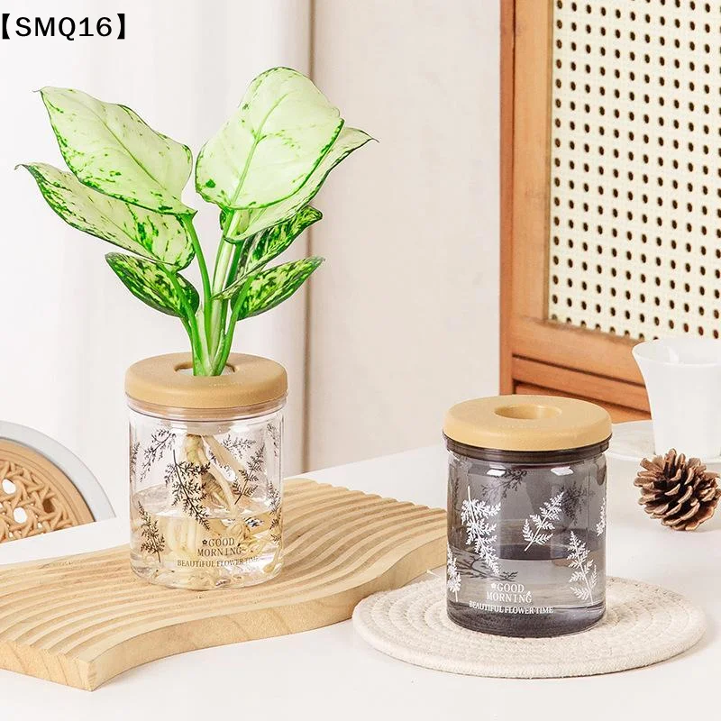 Clear Hydroponic Pot Water Planting Vase Stylish Propagation Pot Container Aquaponic Planter Decor【SMQ】