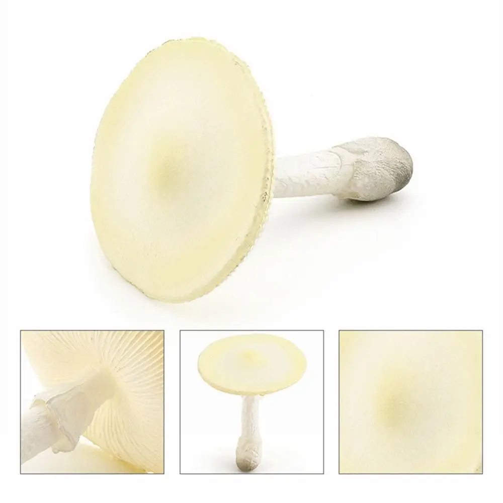 Vegetable Model Fungus Figurines Matsutake Oyste Landscape Miniatures Simulation Mushroom Plant Pleurotus Fungus Model