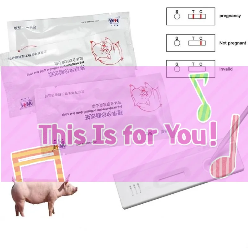 【HMA】1/3/5Pcs Pig Pregnancy Test Strip Early Pregnant Detection Testing Tool Livestock Accessory Pig Pregnant Detection
