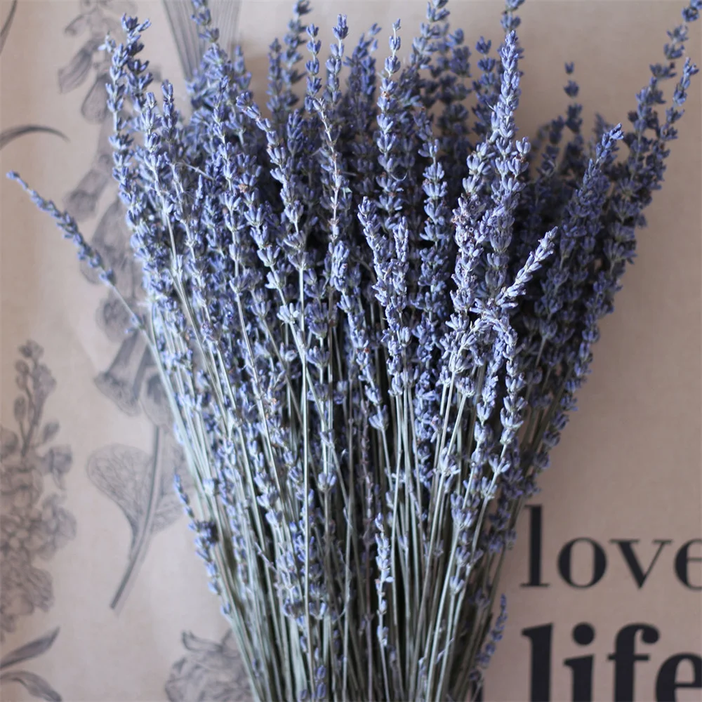 100g High Quality Dried Lavender Wholesale Natural Dried Lavender Flowers Bunches for Home Wedding Party Gift Decor, Photo Props