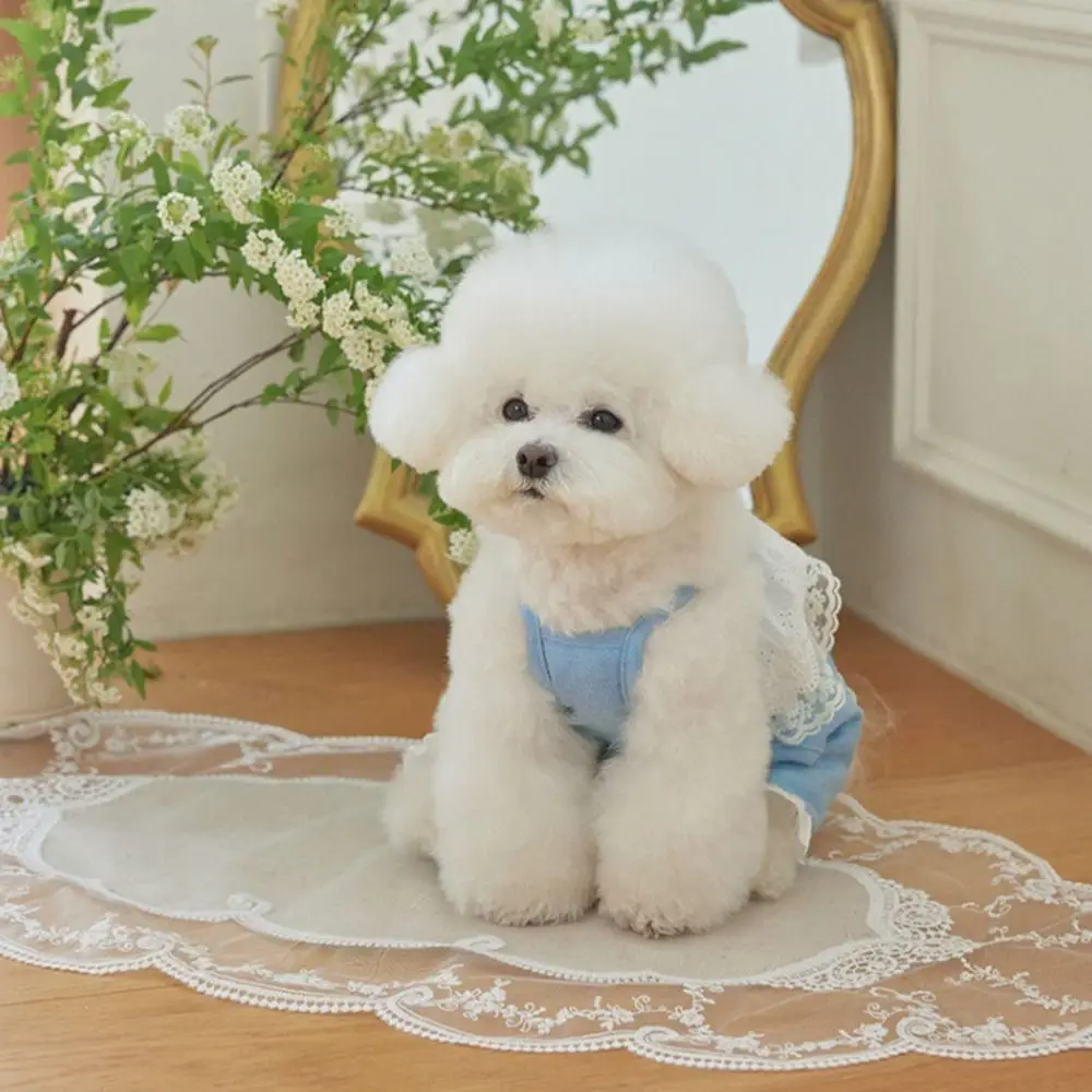 

Pet Supplies Soft Pet Lace Jumpsuit Fashion Breathable Pet Overalls Thin Design Dog Pajamas Summer