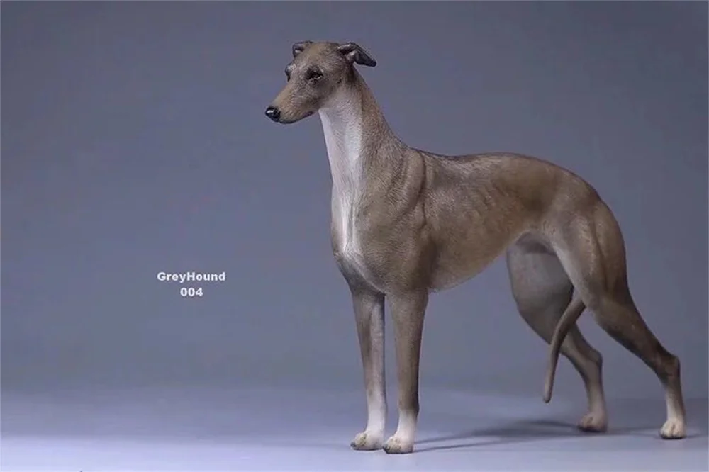 JXK GD001-6 14x5.5x17.5cm 1/6 Scale Lingti Greyhound WHIPPET Mini Simulated Cute Pet Dog Ornament Trendy Toy Figurine Model view 5