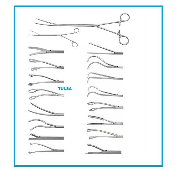 Thoracoscopy Dissecting Forceps for VATS Surgery, Reusable Stainless Steel Instruments