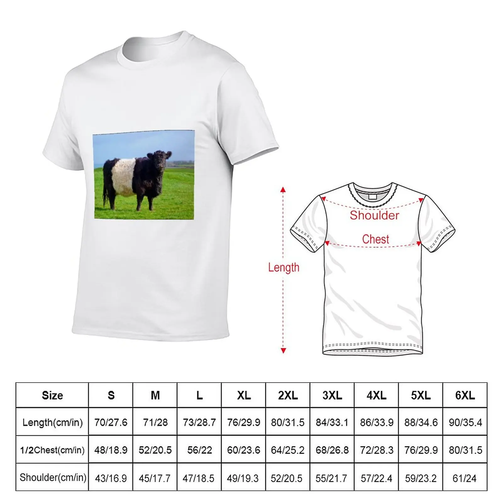 Belted Galloway Bull T-Shirt man clothes graphics t shirt t-shirts man tshirts for men