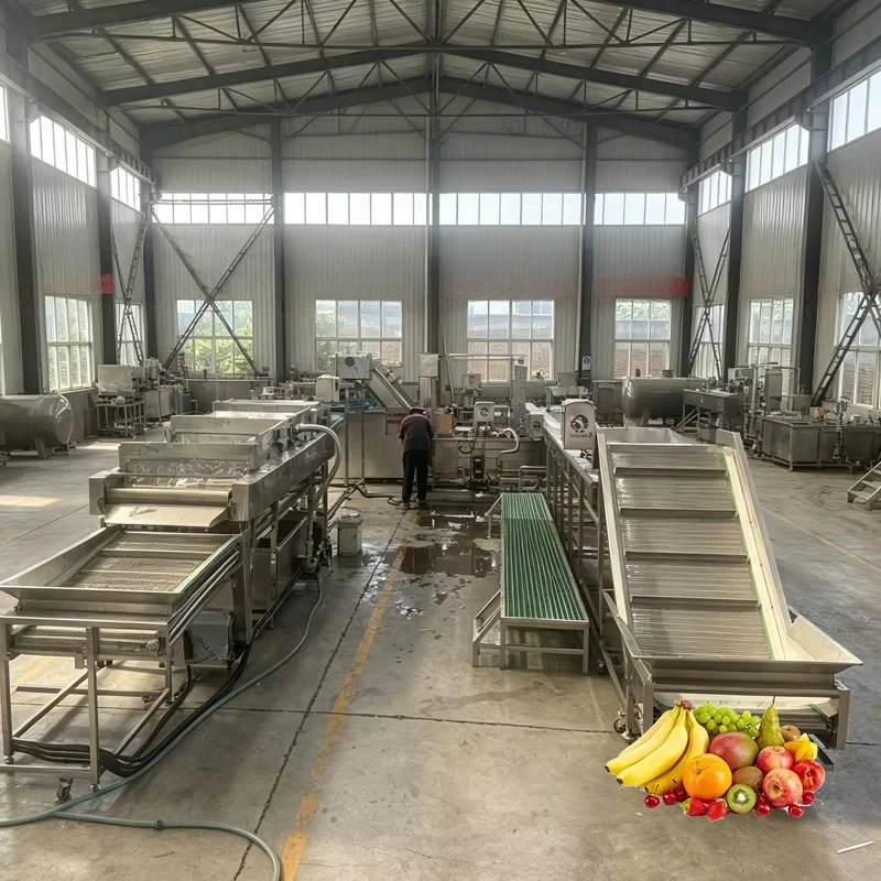 Energy Saving Industrial Fruit Washer Machine Stable Running Bubble Cleaning Line for Citrus Fruit Processing Factory
