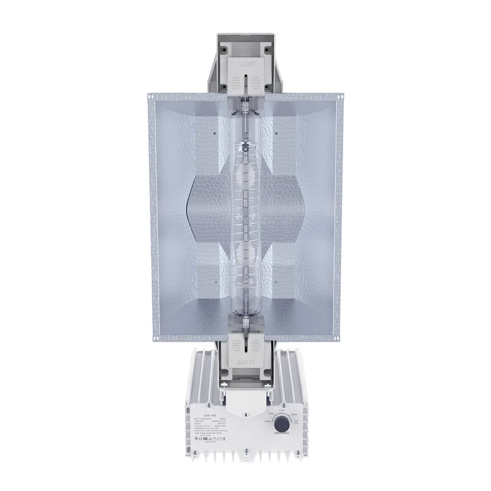 High Quality Ceramic Metal Halide Dimming Double Ended 1000 watt CMH ballast and Lamp