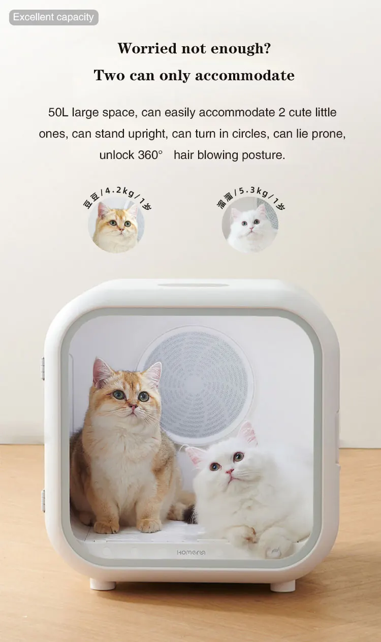 Beat Quality Automatic Pet Dryer Box Smart Temperature Control Quiet Operation Plastic Construction For Small Animals
