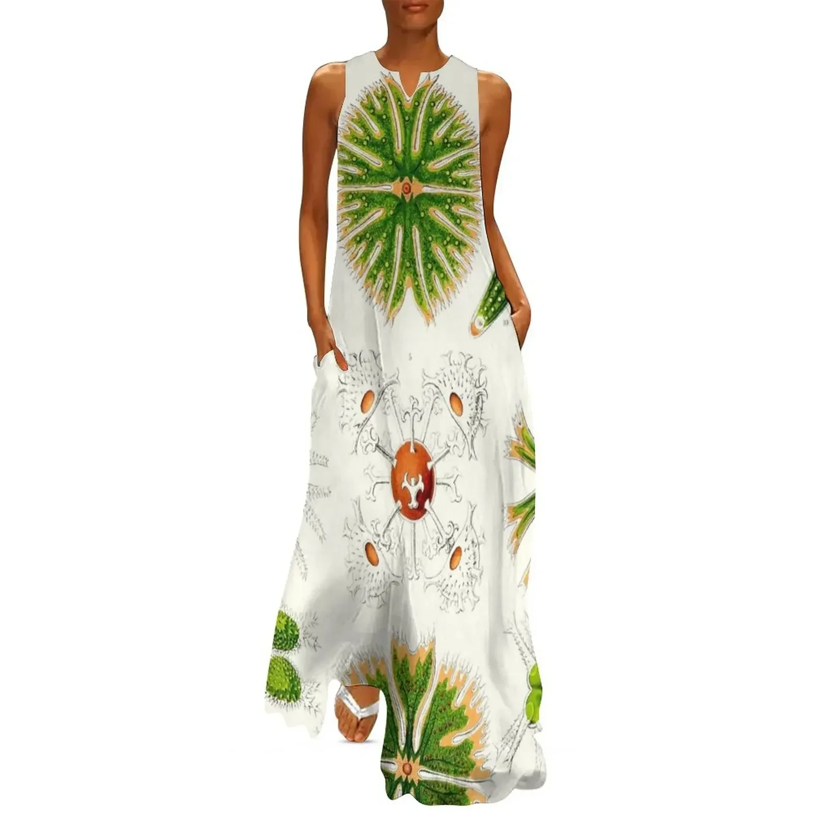

Plate 24. Desmids. Microscopic green algae. Long Dress summer dress women 2025 Dress