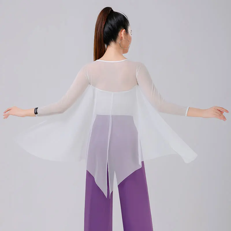 Chemisier de danse double mode pour femme, robe de danse de salon à manches longues, gaze en filet, bride après flottante, nouveau