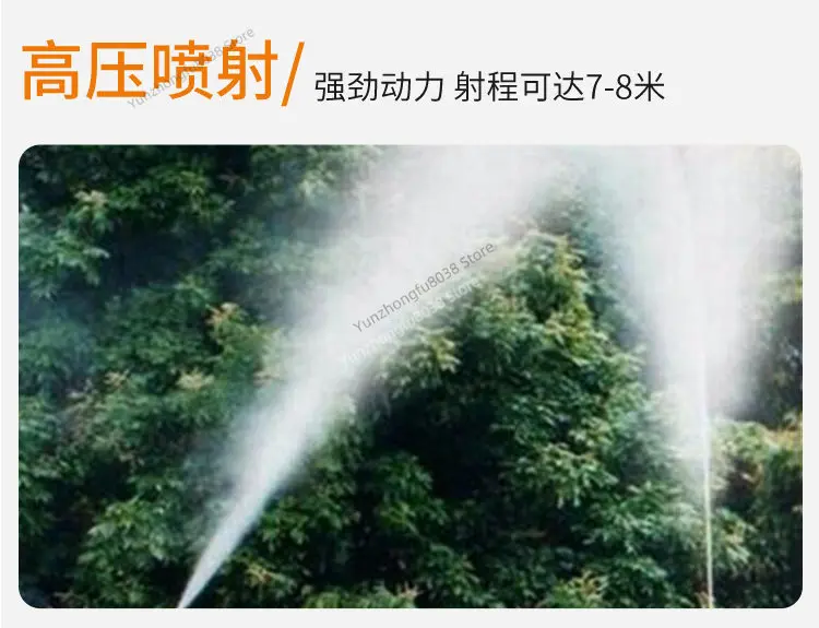Portable Electric Sprayer Agricultural High Pressure Double Cylinder Plunger Pump Fruit Tree Pesticide Sprayer 12V 48V 60V 220V