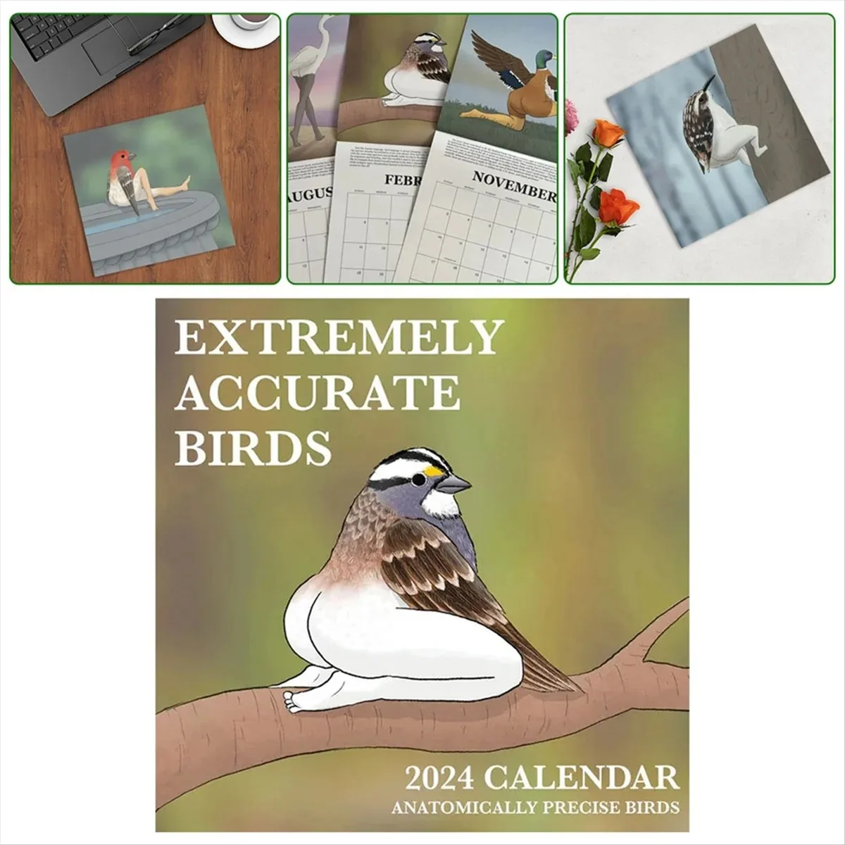 

2024 Calendar of Extremely Accurate Birds Home 2024 Bird Calendar Wall Calendar Decoration Poster-30x30cm