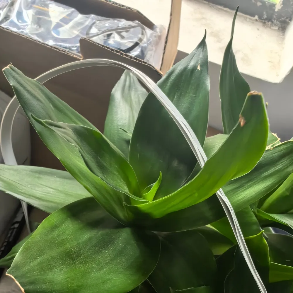 

10X 2111928 Кабель печатающей головки для EPSON Stylus Photo 1390 1400 1410 1430 Вт 1500 Вт L1800 A1430 EP4004