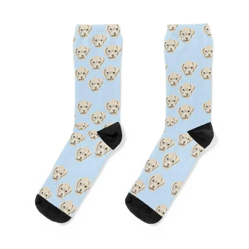 Pisco the white Boxer Puppy Socks sports and leisure Climbing happy colored Socks Men's Women's