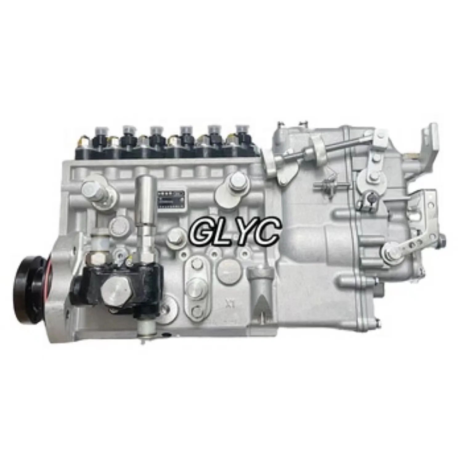 

Genuine LONGKOU Diesel Fuel Injection Pump 20516Z Fuel Pump BHT6P120R 1004433857Z For Weichai