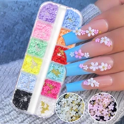 3D Acryl Blume Nail Art Dekorationen Gold Silber Perlen Farbwechsel Nägel Charms Luxus Strass Liefert Zubehör