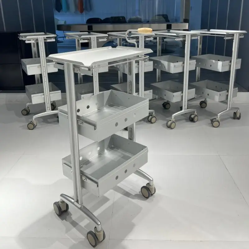 Furniture Beauty Salon Trolley Cart with Wheels Rolling Storage Cart Handcart Auxiliary Trolleys Spa Tool Trolly Mueble Cart