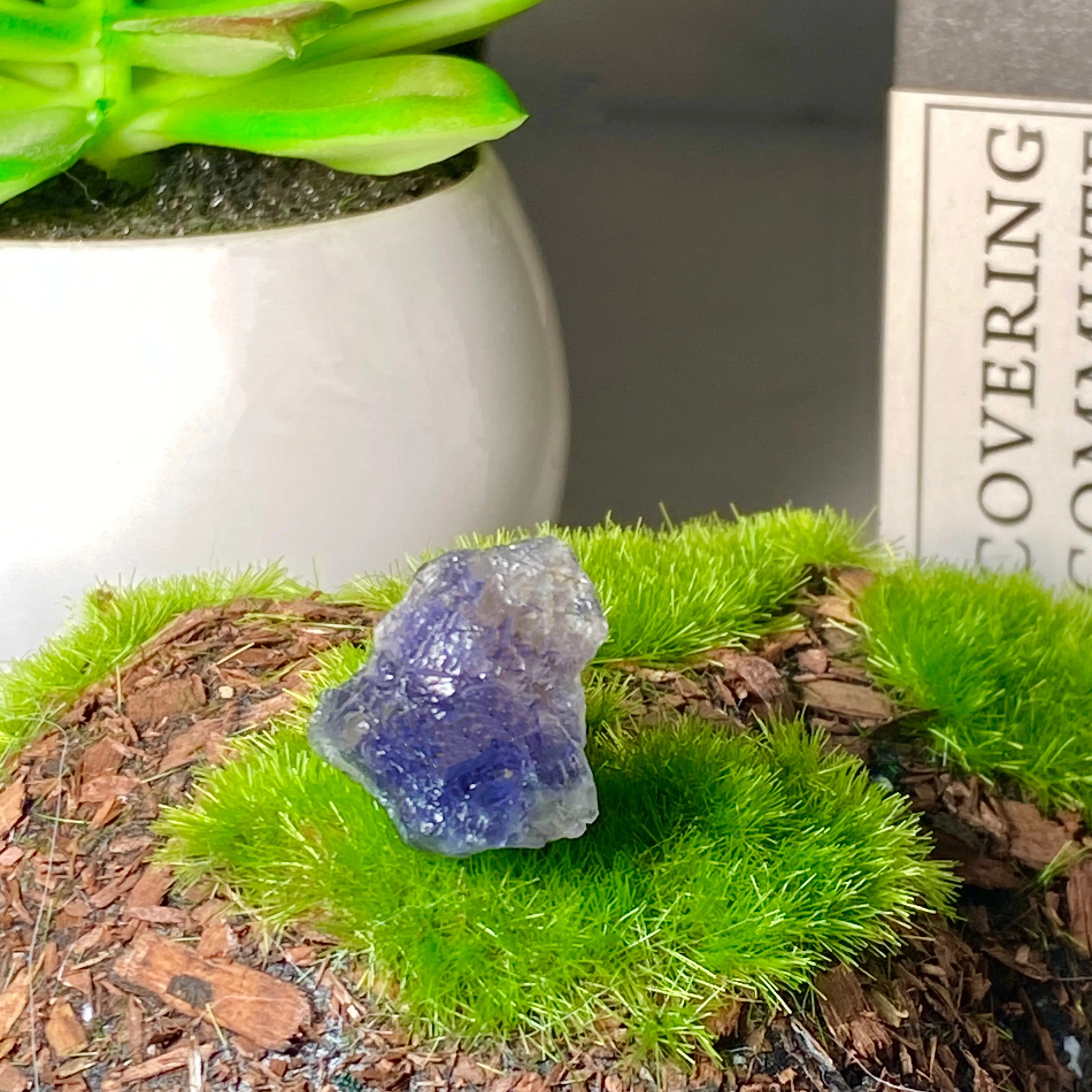 Random 50g/100g High Quality Iolite Raw Stone Decoration Natural Crystal Raw Stone, Birthday Gift, Scene Decoration.