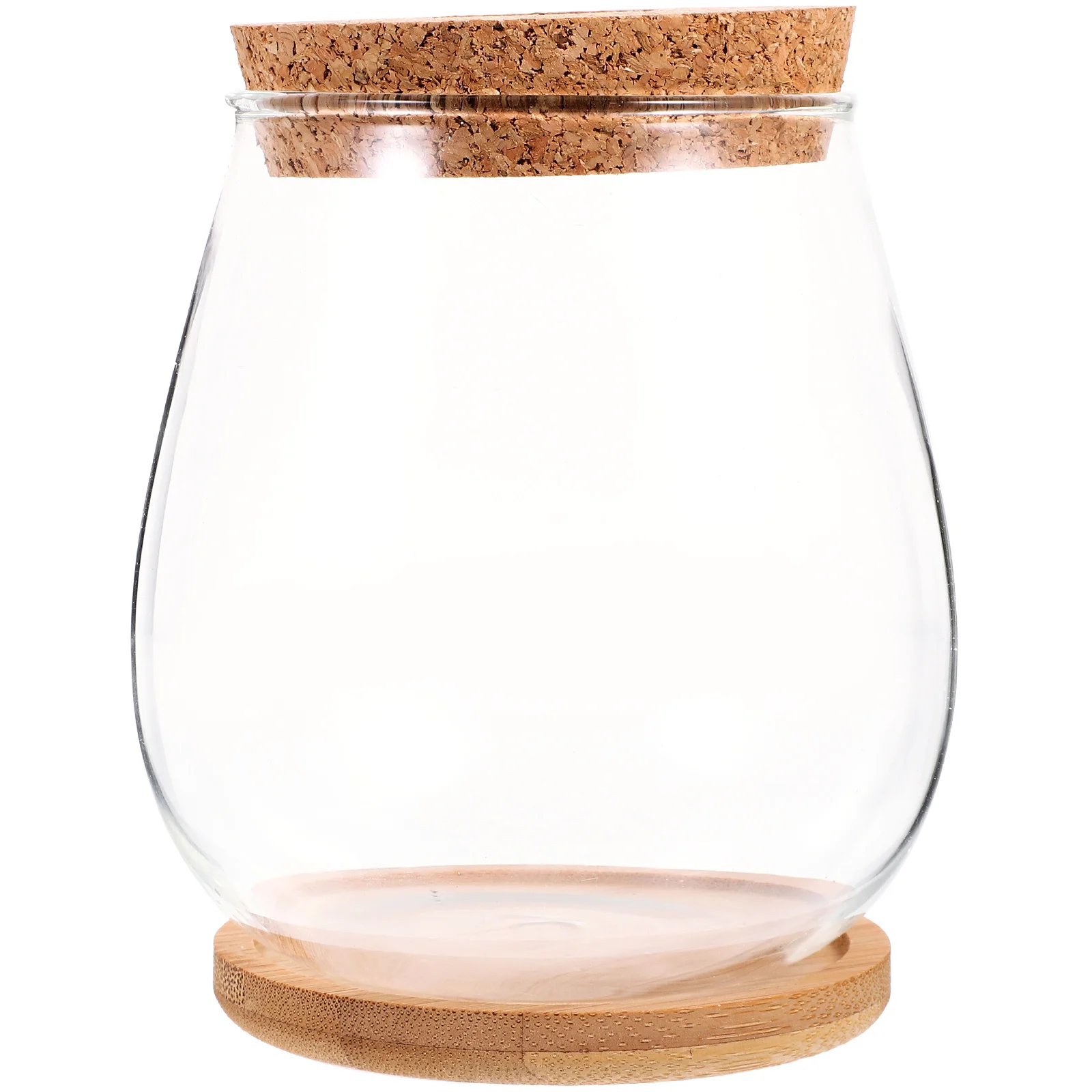 

Hydroponic Vase Plant Glass Terrarium Jar Bottle Desktop Landscape Containers Tank