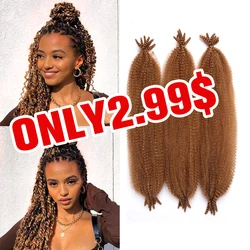 Kinky Marley trecce Crochet Hair Bulk Extensions Faux Locs Pre-separato Spring Afro Twist HairFor Butterfly Locs capelli sintetici