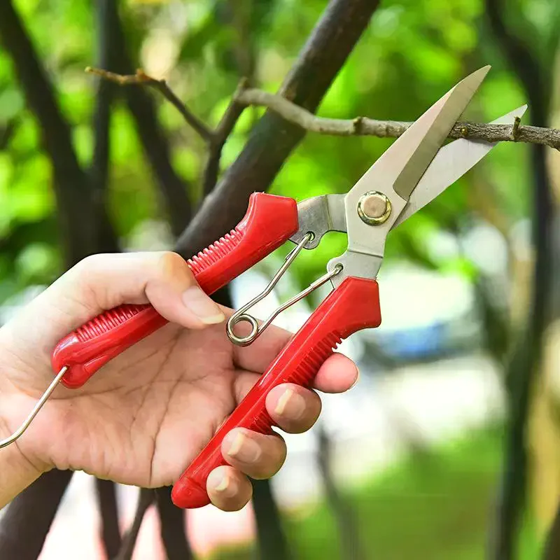 Scissors Straight Head Pruning Shears Non-slip Handle Stainless Steel Outils Manuels Household Bonsai Pruing Scissors Garden