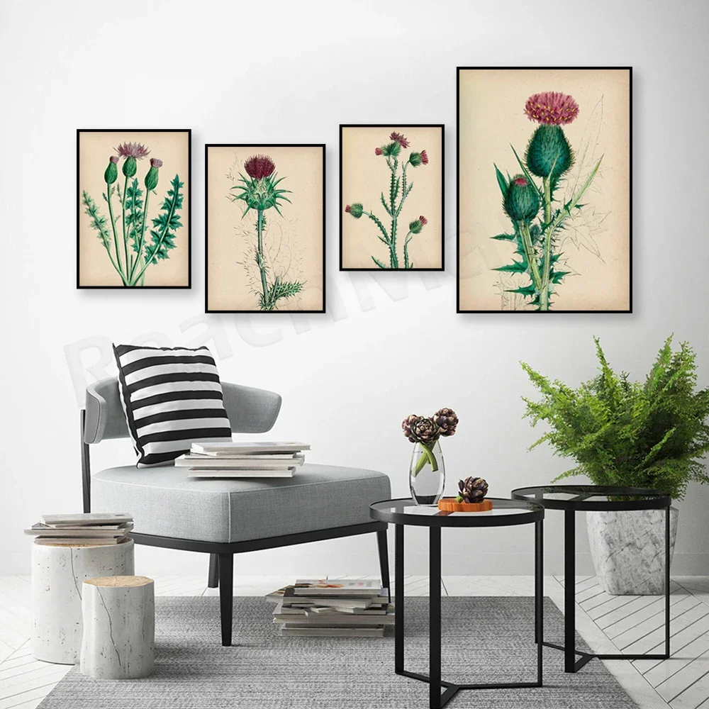 Thistle Art Poster, Vintage Botanical Illustration, Antique Wildflower, Floral, Housewarming Gift, Botanical Scientist Gift