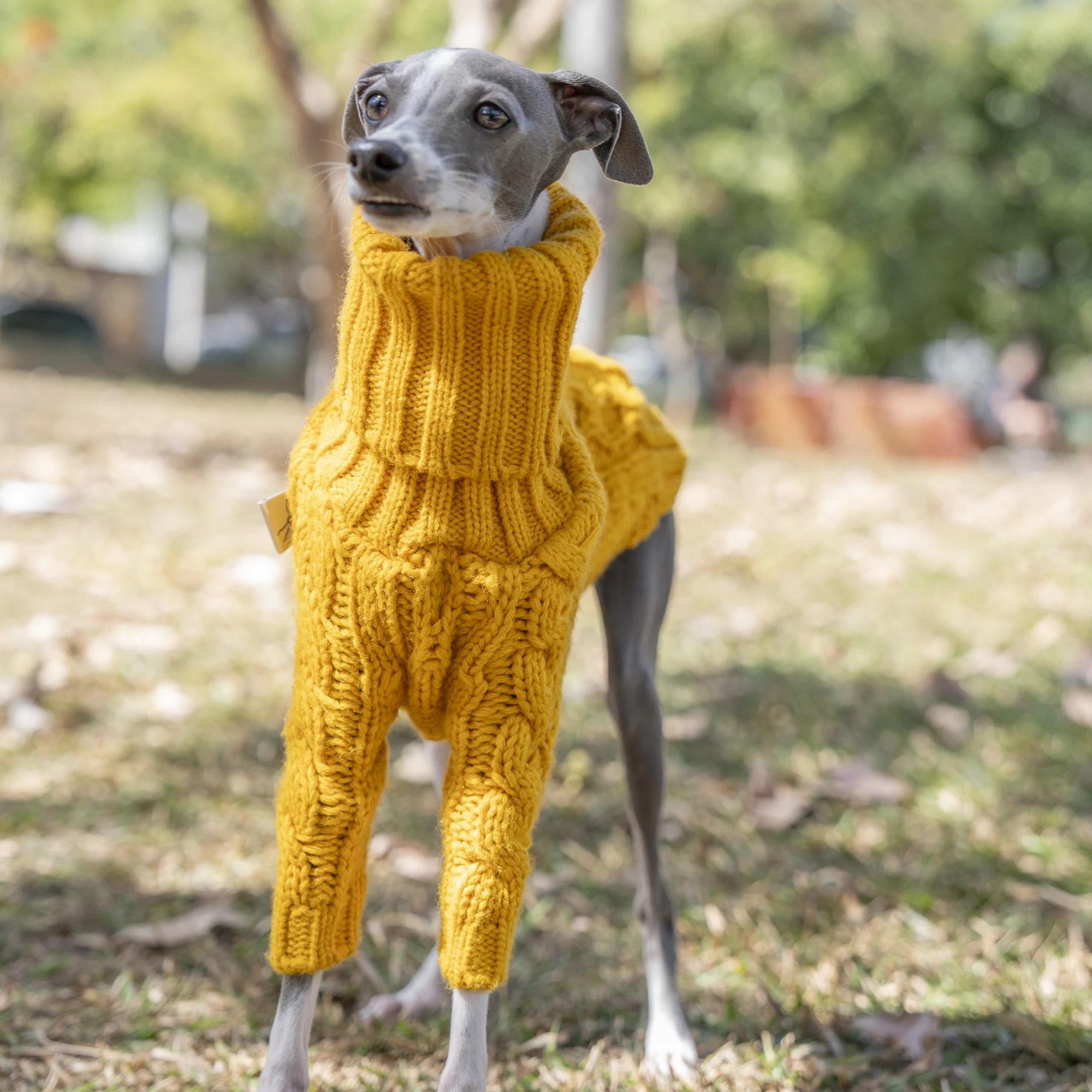 Warm Autumn Pet Sweater Stylish Turtleneck Italian Greyhound Clothes Whippet Clothing