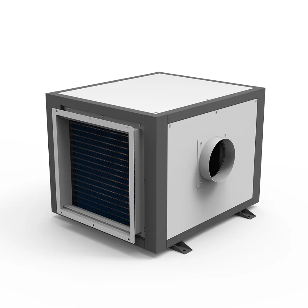 

Ceiling Mounted Industrial Dehumidifier Commercial Air Dryer for Crawl Space Basement Factory