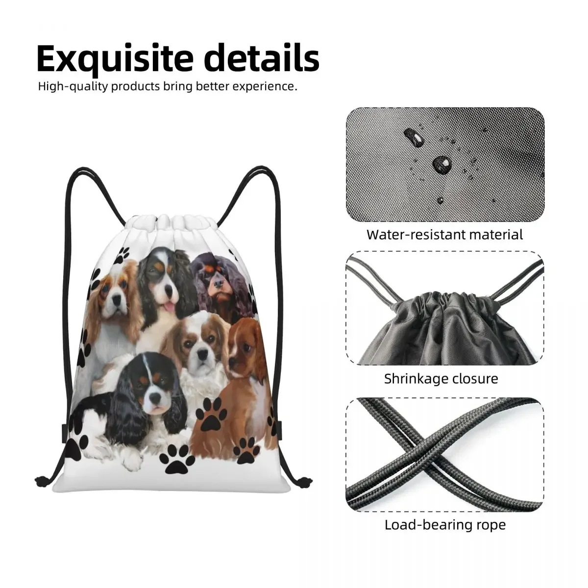 Cavalier King Charles Spaniel Family Group Drawstring Backpack Sports Gym Bag for Women Men Dog Shopping Sackpack