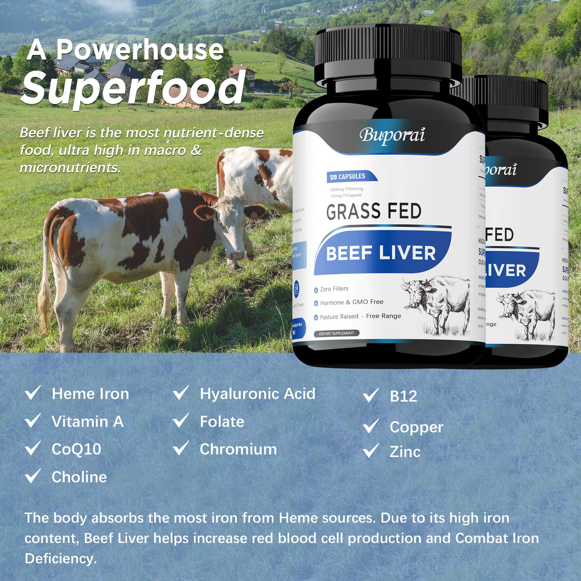 كبسولات كبد لحم البقر من جراس فيد - تعزز إنتاج خلايا الدم الحمراء، ويزيد من مستويات الطاقة، ويحسن صحة البشرة والرؤية