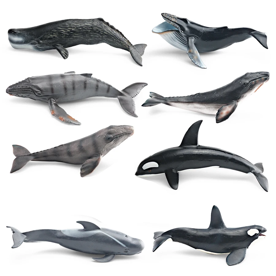 Realistic Humpback Whale Sperm Whale Narwhal Killer Whale Sea Life Animals Model Action Figures Education Decoration Toys view 3