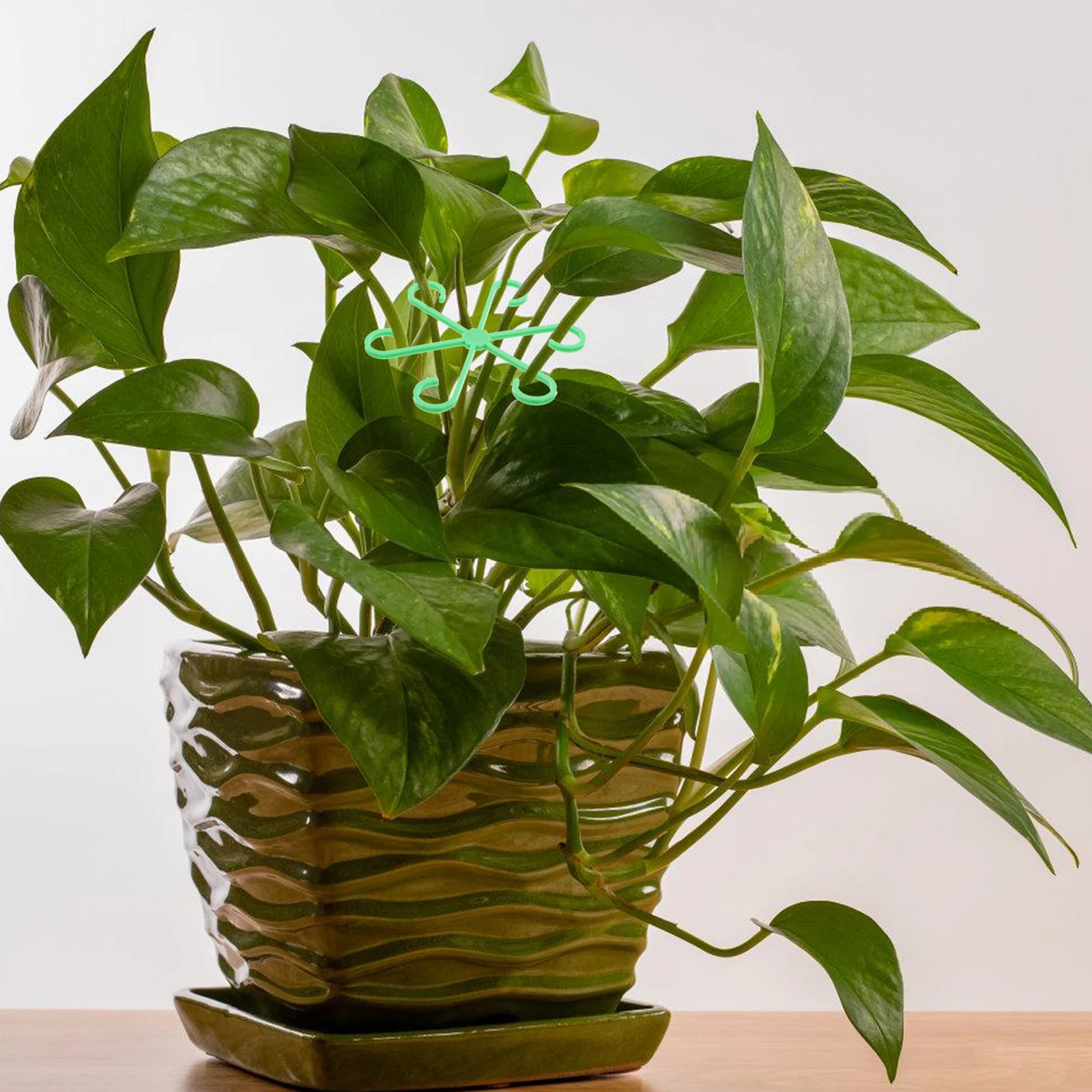 

12 Pcs Plant Climbing Frame Flower Stakes Supports Leaf Houseplant ABS Hoops Adjustable Garden Trainer Stem Holder