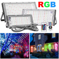 300W 100W 50W LED RGB Flood Light Outdoor Lighting IP65 Waterproof Led Spotlight 220V Floodlights with EU Switch Plug