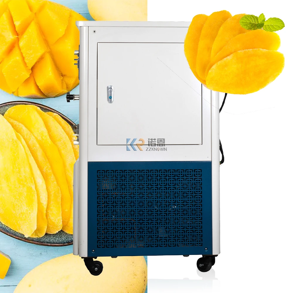 1㎡ Laboratory Vacuum Freeze Dryer Lyophilizer Machine Medium Freeze Dehydrator for Biological Research