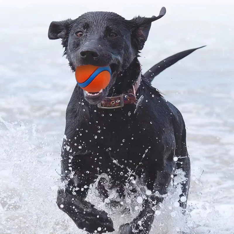 Thumbnail 4 - #27 Dog Fetch Toys Price Drop Alerts