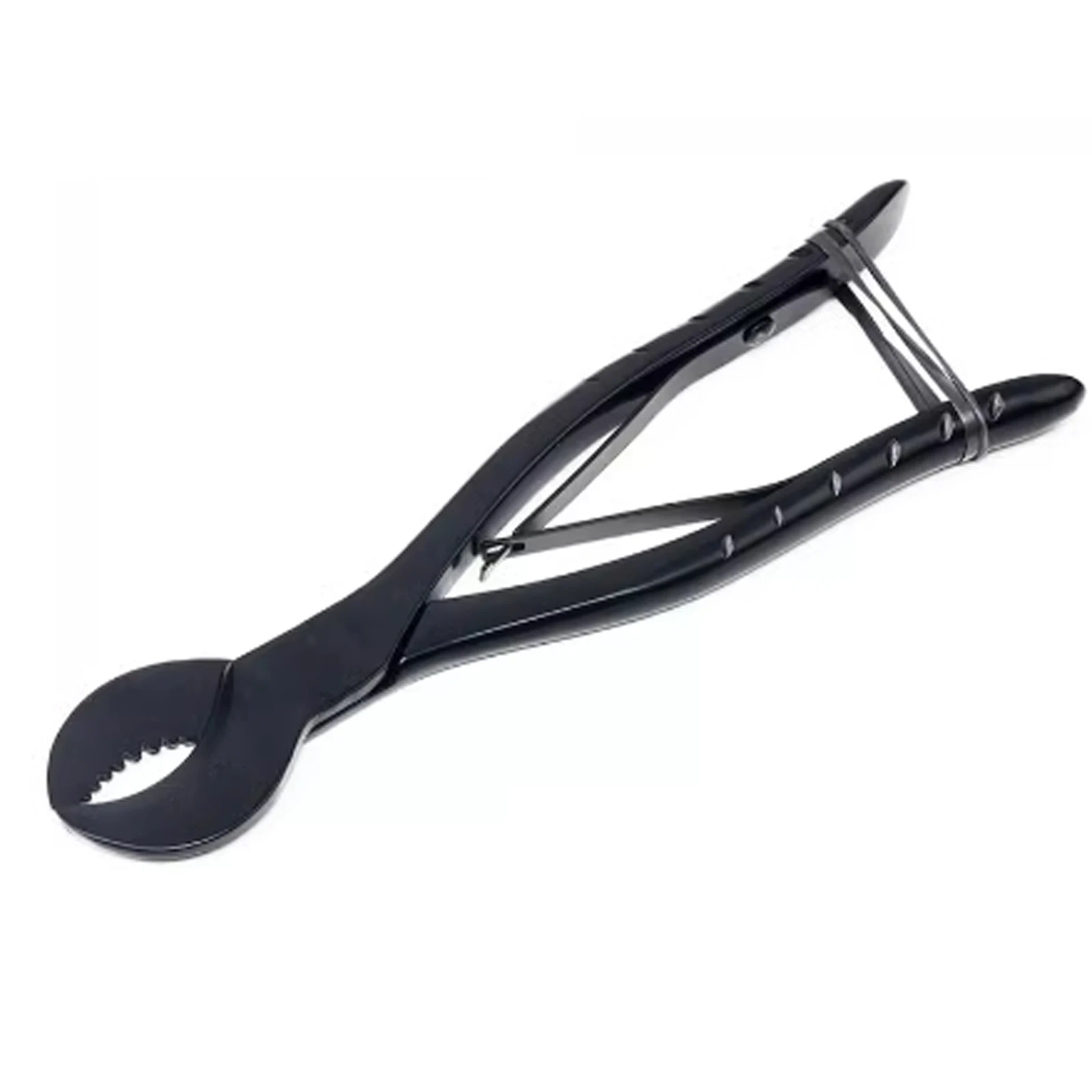 

Stainless Steel Corrosion Resistant SPS Hard Coral Scissors for Saltwater Aquariums Fish Tank