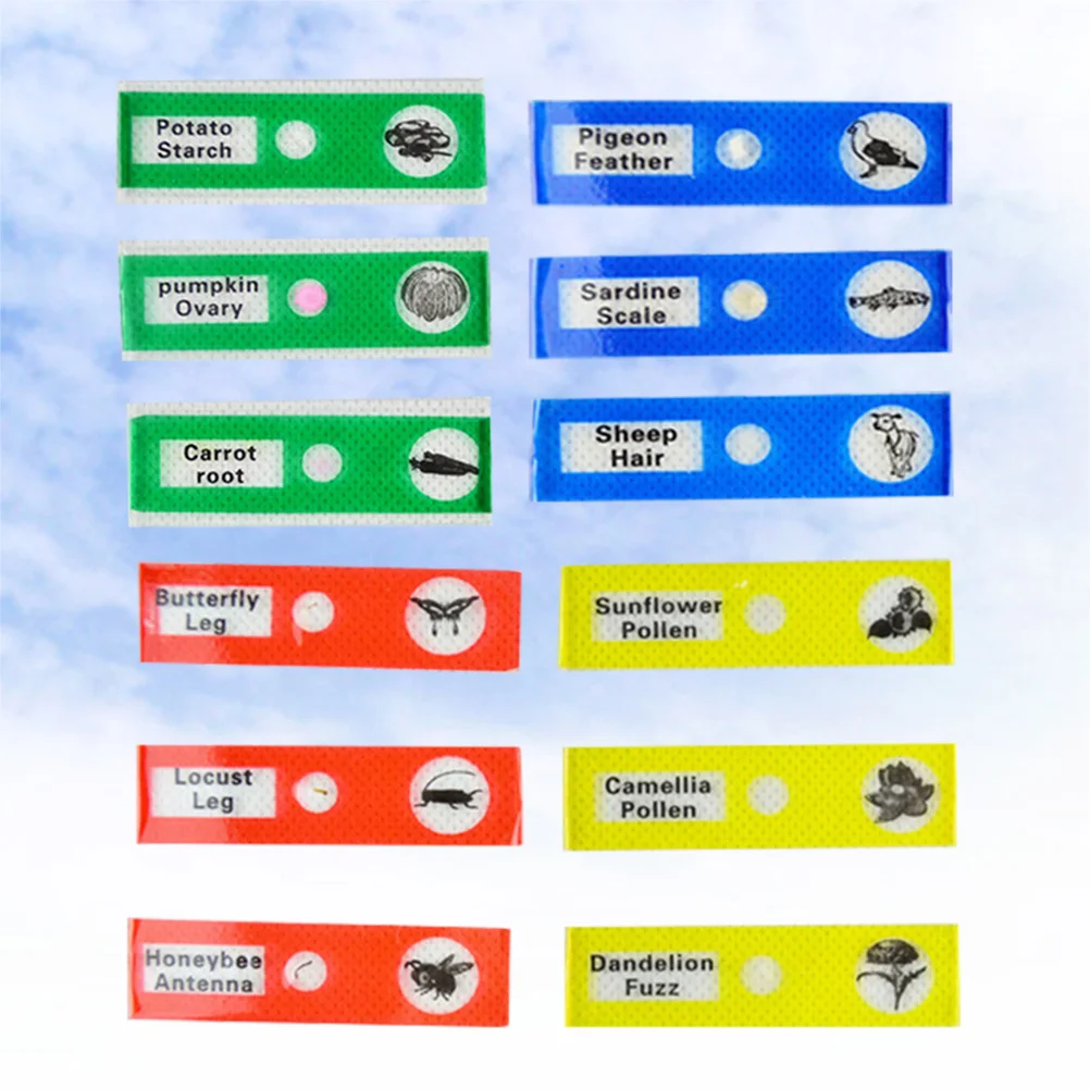 12 قطعة من شرائح العينات البيولوجية البلاستيكية للأطفال، مختبر المجهر، ألوان متنوعة، هدايا تعليمية أساسية #4