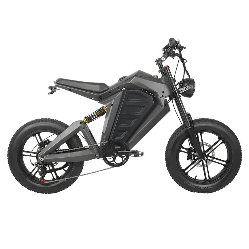 WWQ Mtbgoo High Quality 20 High Performance Brushless Motor 48V 750 Watts Electric Fat Tire Bike with Super Bright Light Emittin