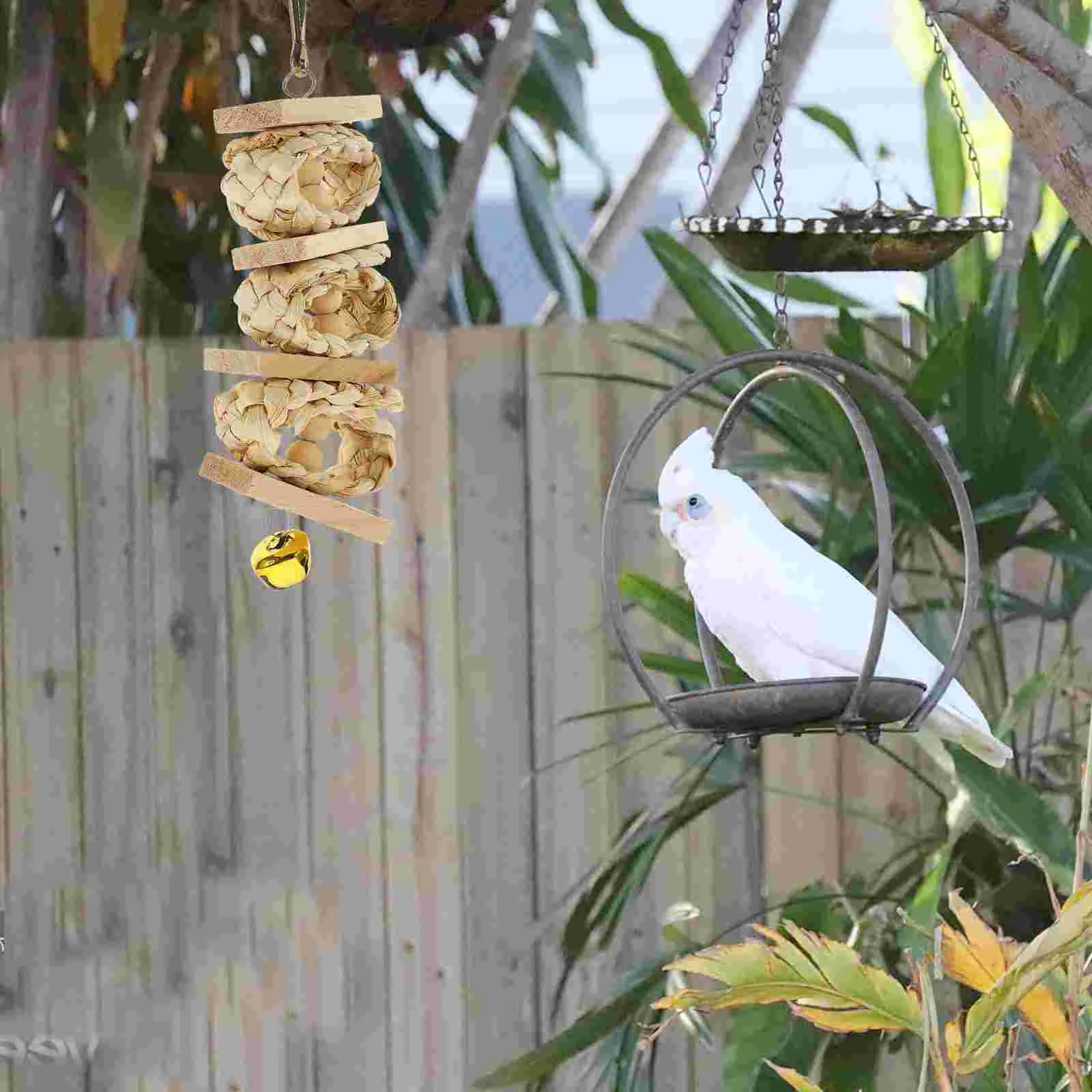 ألعاب شينشيلا الببغاء الطبيعي مضغ الطيور سوينغ قفص خشبي العلف أقفاص معلقة