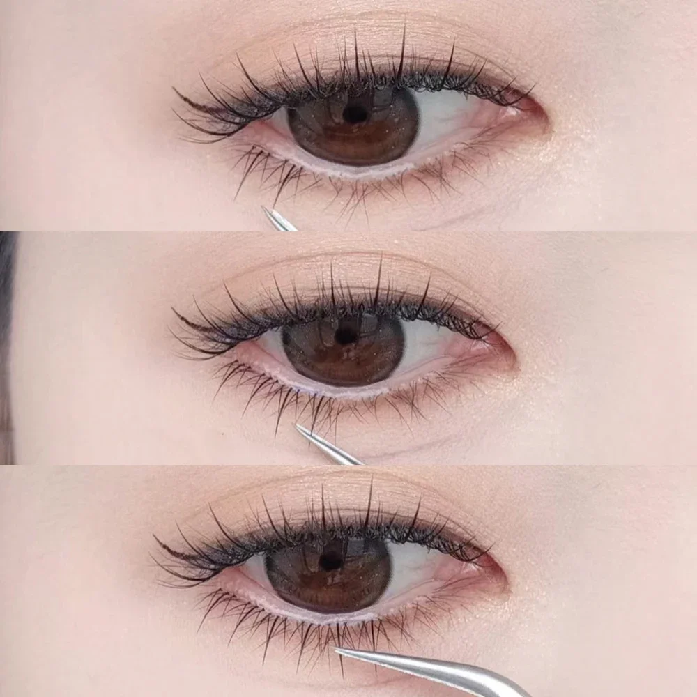 ナチュラルフェアリーエアセグメント、ローリーまつげ、マンガボトムベルト、メイクアップツール、8または10行