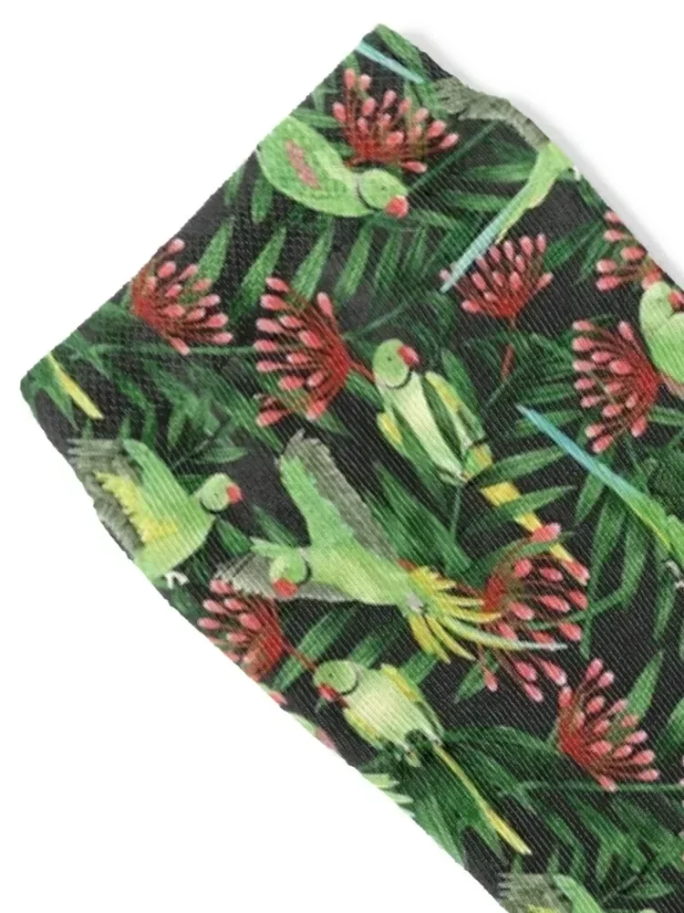 Tropical Watercolour Ring-neck Parrots Socks Children's sheer compression Socks For Man Women's