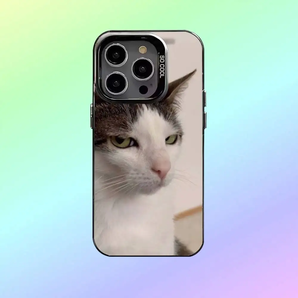 حافظة هاتف مضحكة للقطط الأليفة لهاتف iPhone17,16,15,14,13,12,11 غطاء داخلي مطلي بالفضة #3
