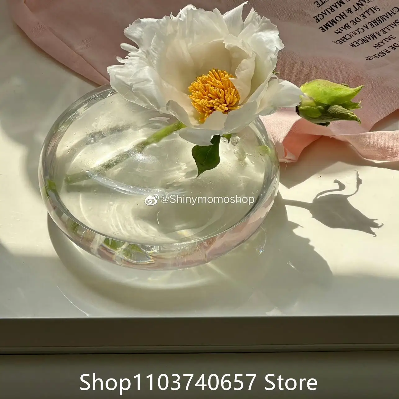 

French Glass Ball Flat Glass Vase Transparent Circular Flower Floar Green Plants Bottle Pots Japanese Flower Vase