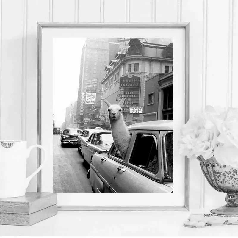 

Llama Riding in Taxi Black and White Vintage Print Poster Canvas Painting Prints for Living Room Modern Home Decoration