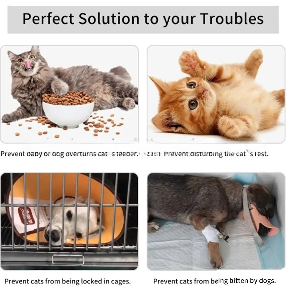 Fermo del supporto della porta del gatto di larghezza regolabile Design a forma di pesce Fast Flex Latch Strap fermaporta forniture per animali domestici