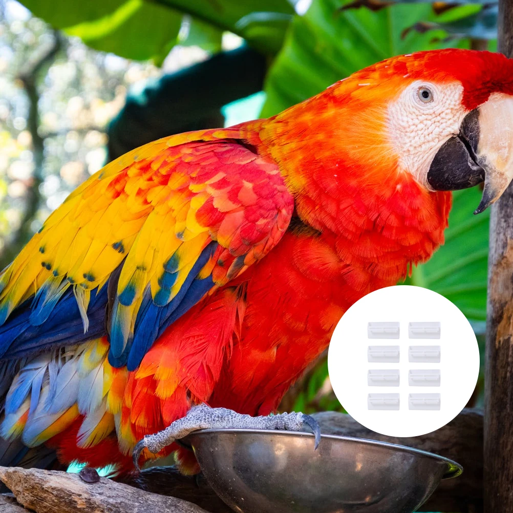 

8Pcs Birds Feeding Box High Quality Plastic Pet Bowl for Parrot Cage Mounted Food Dispenser Drinking Eating Solution