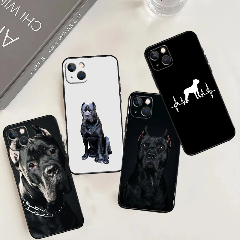 Italian Cane Corso …