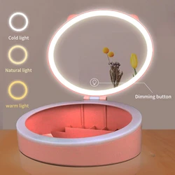 Makeup Mirror with Storage Cases 3 Gears Adjustable LED Lights Foldable Beauty Mirror USB Charging Portable Travel Vanity Mirror