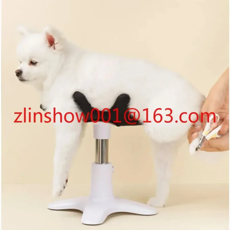 Pet Shower, Hair Dryer, and Beauty Fixed Table Base Frame Plastic stent